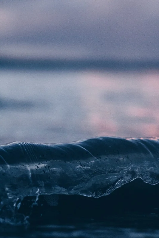 cross-stitched369241
