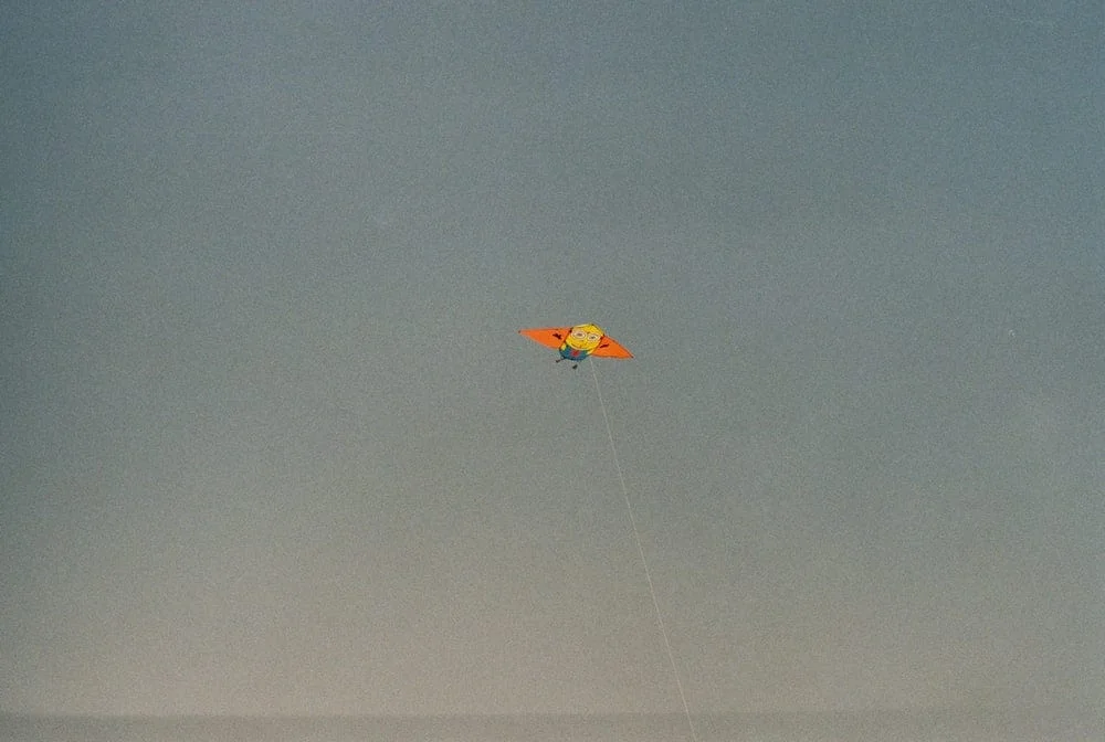 cross-stitched507441