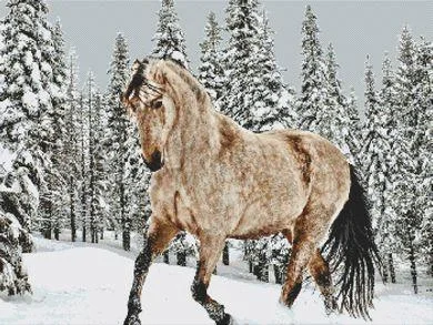 everythingcrossstitch-789476