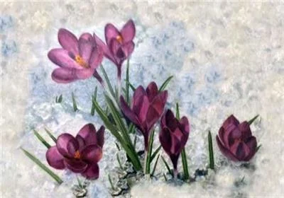 everythingcrossstitch-853616
