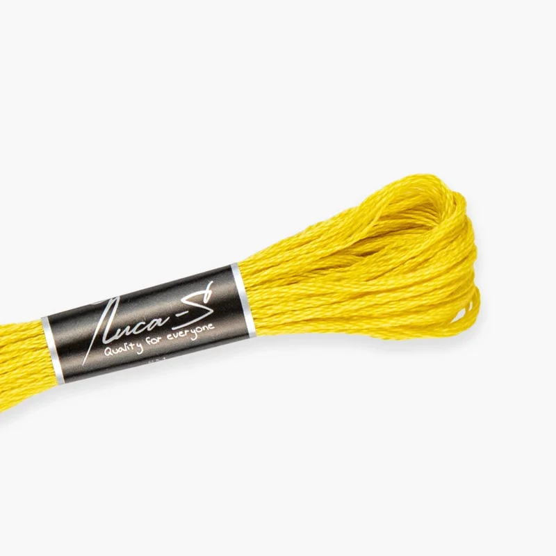 luca-s512408