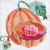 posneedlepoint372735