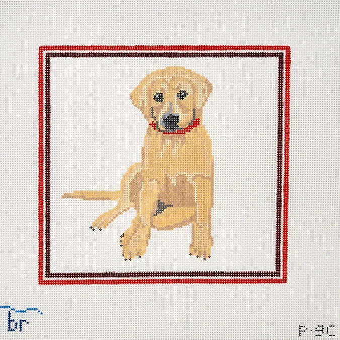 posneedlepoint570331