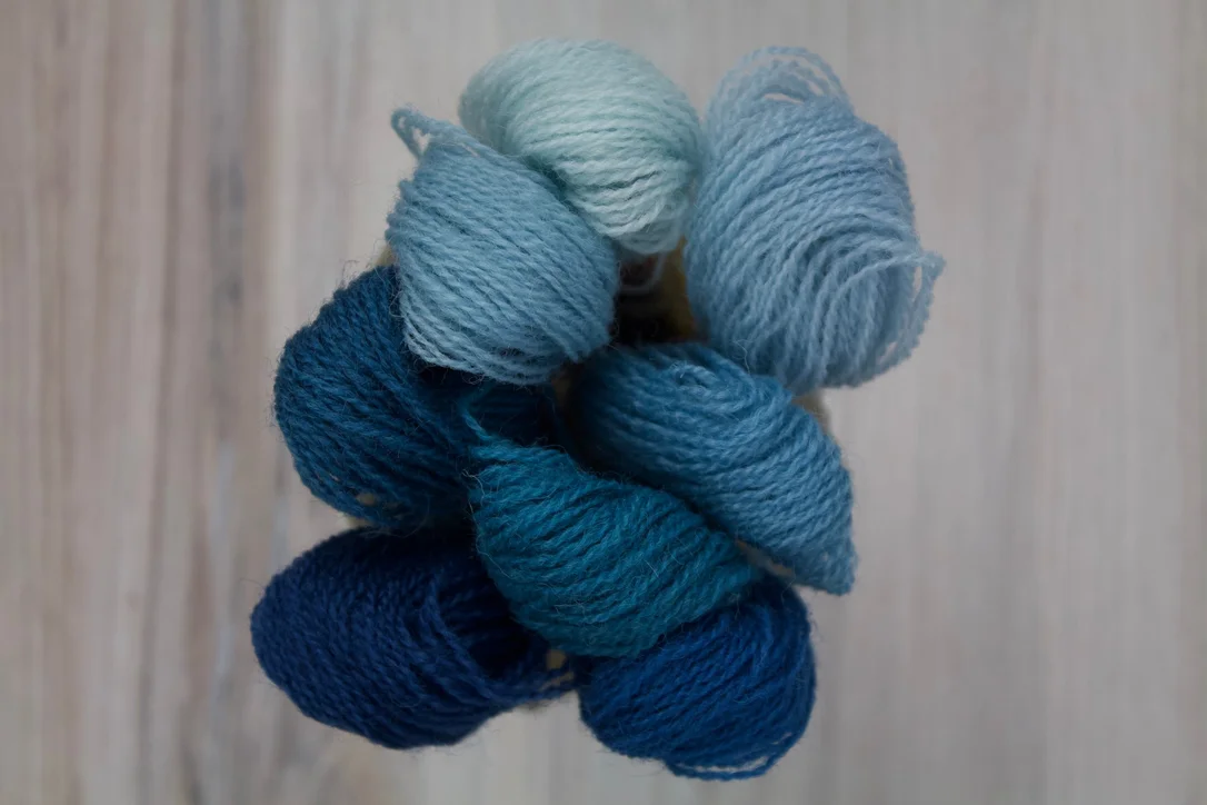 thebluepeony482134