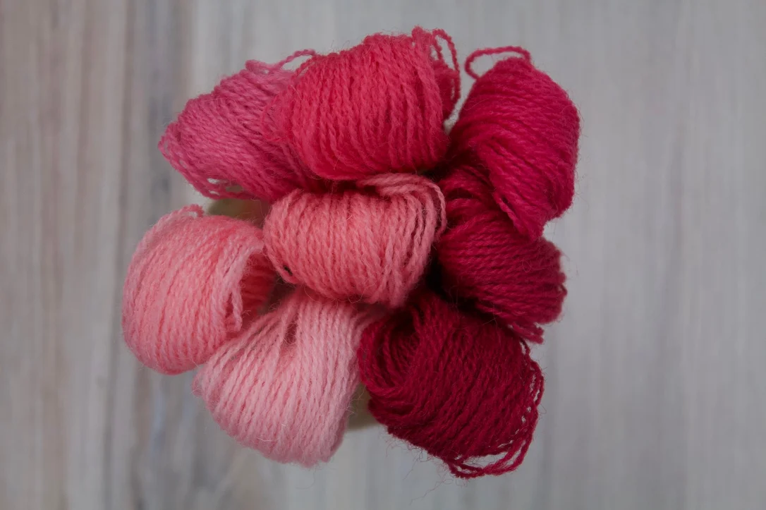 thebluepeony482272